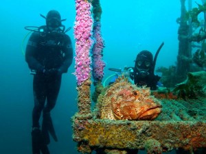 Casey Wreck Diving