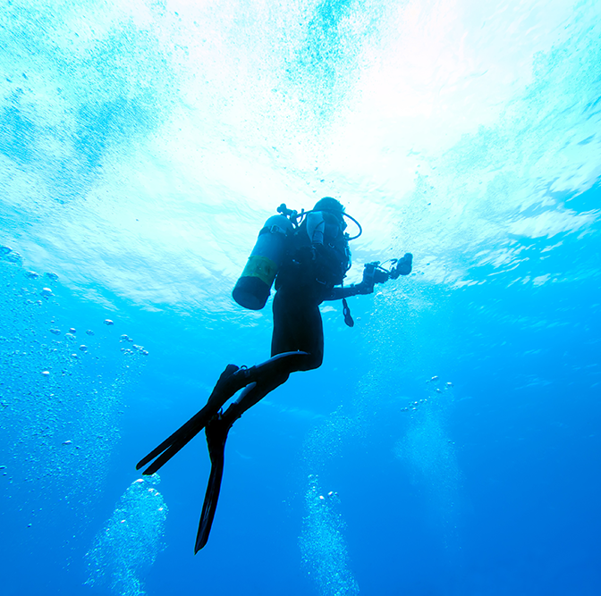 Dive HQ Westhaven Career Courses Scuba Diving